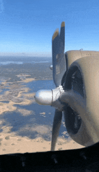 flaviationcenter  GIF