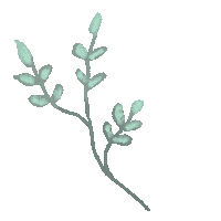 iriskristen green flowers plant floral Sticker