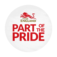 Bring It Home Sticker by Team England