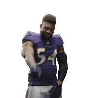 Football Sport Sticker by Baltimore Ravens