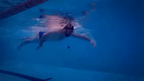 skillsnt giphyupload GIF