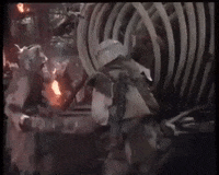 battle for endor wicket GIF by mdleone