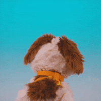 Happy Dog GIF by Sesame Street