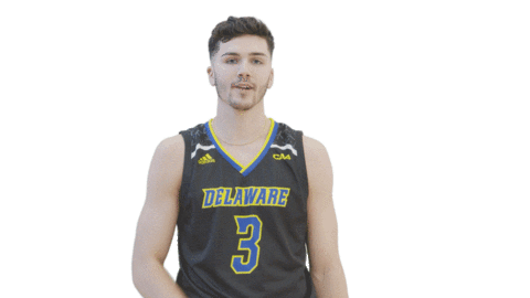 Fun Brush Off Sticker by Delaware Blue Hens