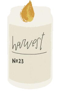 Apple Cider Fall Sticker by Kelsey Davis