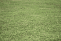 GIF by ArchDaily