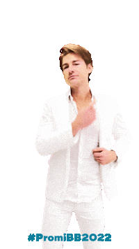 Promibb Promibigbrother Sticker by sat1