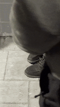 Phx GIF by thatcloudstudio