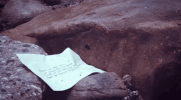 lana del rey honeymoon GIF