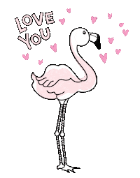 Flamingo Love Sticker