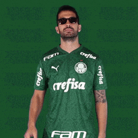 Happy Puma GIF by SE Palmeiras