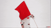 Cup Series Car GIF by Richard Childress Racing
