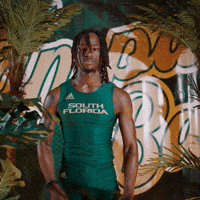 South Florida Horns Up GIF by USF Athletics