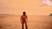 youngthegiant young the giant heat of the summer GIF