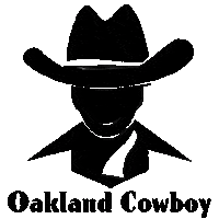 Cowboy Hat Sticker by iNNER DESIRES