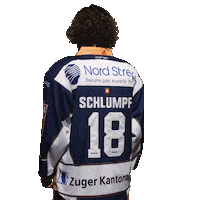 Ice Hockey Smile Sticker by EVZ