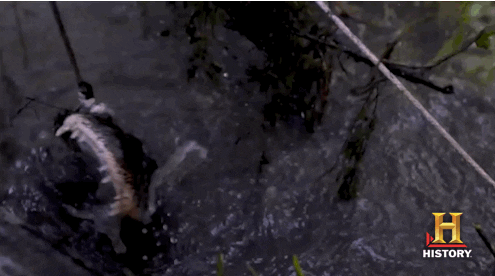 ice cream history GIF by Swamp People