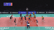 vnl bepartofthegame GIF by Volleyball World