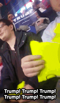 donald trump GIF