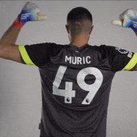 officialburnleyfc football premier league goalkeeper shirt GIF