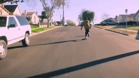 duckwrth giphydvr duckwrth giphyduckwrthbernalheights bernal heights GIF