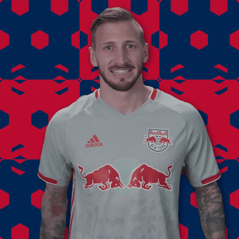 New York Red Bulls Do Not Want GIF by Major League Soccer