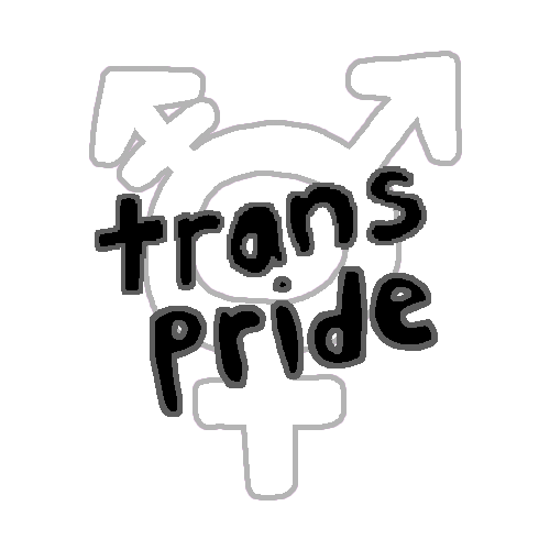 Trans Day Of Visibility Lgbt Sticker