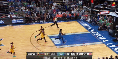 sylvia fowles basketball GIF by WNBA