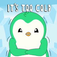 Shaking Cold Weather GIF by Abster