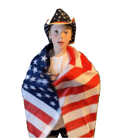 American Flag Usa Sticker by FocusInsite