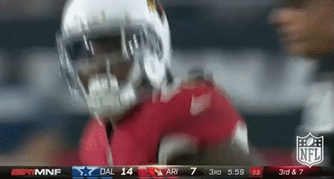 Arizona Cardinals Football GIF by NFL