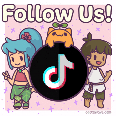 Follow Us Social Media GIF by Castaways