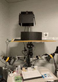 Create Animation Studio GIF by Alex Boya