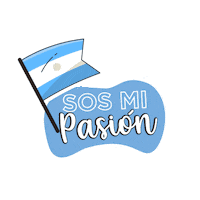 Futbol Argentina Sticker