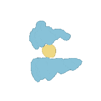 Bandera Argentina Sticker