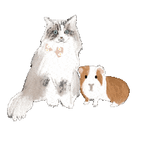 Cat Neville Sticker by Andrea Caceres