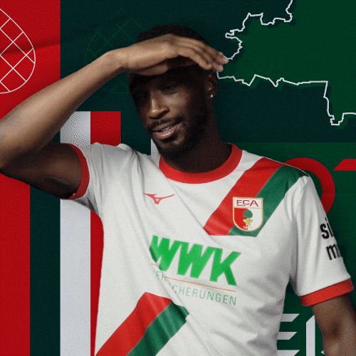 Football Bundesliga GIF by FC Augsburg 1907