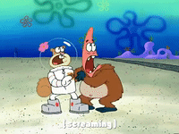 season 3 GIF by SpongeBob SquarePants