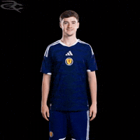 Fifa World Cup Uefa GIF by Respective