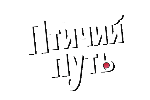 Птица Sticker