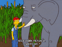 Episode 5 Elephant GIF by The Simpsons