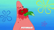 season 9 GIF by SpongeBob SquarePants