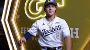 Georgia Tech Baseball GIF by Georgia Tech Yellow Jackets