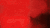 werewolfdaily werewolf werewolfdaily silverhide GIF