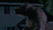 werewolfdaily werewolf werewolfdaily bad moon GIF