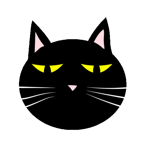 meh black cat Sticker