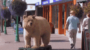 alaska GIF
