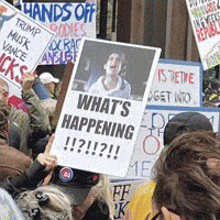 Organize Donald Trump GIF by Creative Courage