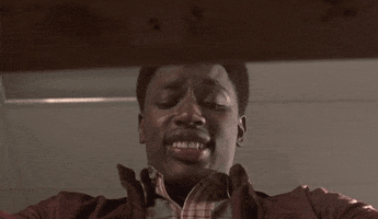 the wood smh GIF