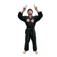 Karate Taekwondo Sticker by Team GMA